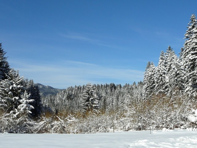Gorski kotar